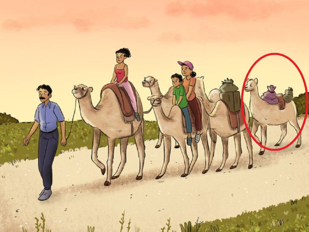 Sfida visiva del cammello