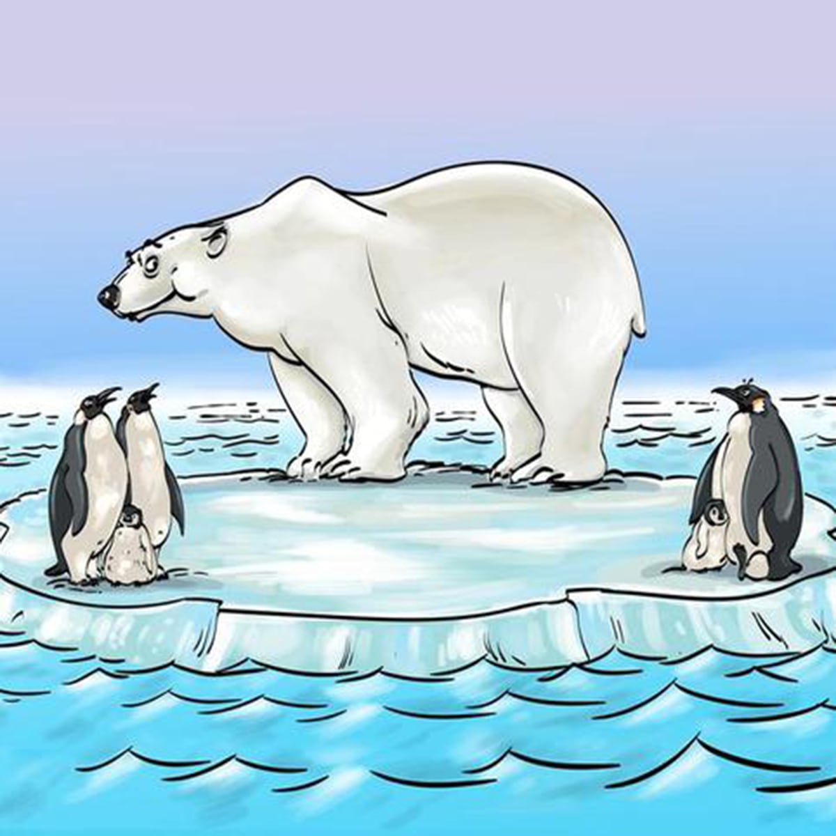 Soluzione dell'orso polare